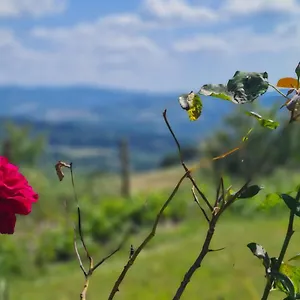 Appartamento Il Nido, Volterra